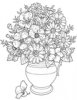 +line+art+outline+mixed+flowers+in+pot+ clipart