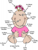 +read+baby+body+parts+English+Spanish+ clipart