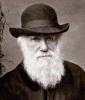 +famous+people+scientist+Darwin+1881+ clipart