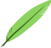 +animal+bird+feather+small+green+ clipart