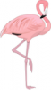 +animal+bird+flamingo+4+ clipart
