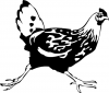 +animal+bird+running+chicken+ clipart