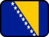 +flag+emblem+country+bosnia+and+herzegovina+outlined+ clipart