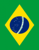 +flag+emblem+country+brazil+flag+full+page+ clipart