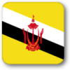 +flag+emblem+country+brunei+square+shadow+ clipart