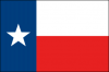 +flag+emblem+pennant+Texas+ clipart