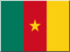 +flag+emblem+country+cameroon+icon+64+ clipart