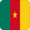 +flag+emblem+country+cameroon+square+ clipart