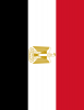 +flag+emblem+country+egypt+flag+full+page+ clipart