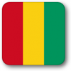 +flag+emblem+country+guinea+square+shadow+ clipart