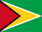 +flag+emblem+country+guyana+40+ clipart