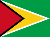 +flag+emblem+country+guyana+ clipart