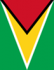 +flag+emblem+country+guyana+flag+full+page+ clipart