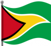 +flag+emblem+country+guyana+flag+waving+ clipart