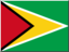 +flag+emblem+country+guyana+icon+64+ clipart