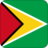 +flag+emblem+country+guyana+square+48+ clipart