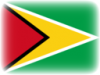 +flag+emblem+country+guyana+vignette+ clipart