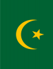 +flag+emblem+country+mauritania+flag+full+page+ clipart