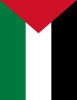 +flag+emblem+country+palestine+flag+full+page+ clipart