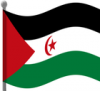 +flag+emblem+country+Western+Sahara+flag+waving+ clipart