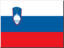 +flag+emblem+country+slovenia+icon+64+ clipart