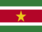 +flag+emblem+country+suriname+40+ clipart