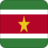 +flag+emblem+country+suriname+square+48+ clipart