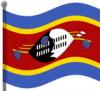 +flag+emblem+country+swaziland+flag+waving+ clipart