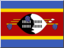 +flag+emblem+country+swaziland+icon+64+ clipart