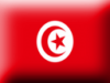 +flag+emblem+country+tunisia+3D+ clipart