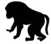 +animal+primate+baboon+contour+ clipart