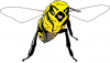 +bug+insect+bumblebee+bee+bold+ clipart