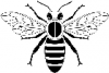 +bug+insect+bumblebee+bee+from+above+ clipart