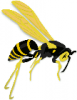 +bug+insect+bumblebee+flying+wasp+ clipart