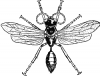 +bug+insect+bumblebee+sand+wasp+ clipart