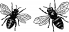 +bug+insect+bumblebee+worker+dronne+bees+ clipart