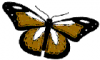 +bug+insect+flying+ clipart