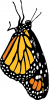 +bug+insect+flying+Monarch+ clipart