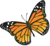 +bug+insect+flying+Monarch+butterfly+USGS+ clipart