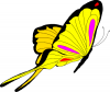 +bug+insect+flying+butterfly+11+ clipart