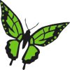 +bug+insect+flying+butterfly+14+ clipart