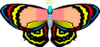 +bug+insect+flying+butterfly+15+ clipart