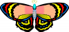 +bug+insect+flying+butterfly+15+ clipart