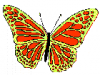 +bug+insect+flying+butterfly+2+ clipart