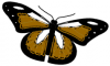 +bug+insect+flying+butterfly+2+ clipart