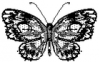 +bug+insect+flying+butterfly+3+ clipart