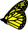 +bug+insect+flying+butterfly+4+ clipart