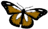 +bug+insect+flying+butterfly+5+ clipart