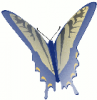 +bug+insect+flying+butterfly+6+ clipart