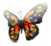 +bug+insect+flying+butterfly+effect+ clipart